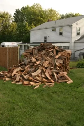[Hearth.com] Holz Haufen (hauzen) or straight rows of wood?