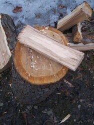 Help with wood ID