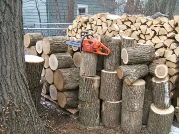 [Hearth.com] Best chainsaw for me