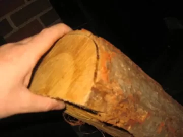 [Hearth.com] Wood ID  (again)