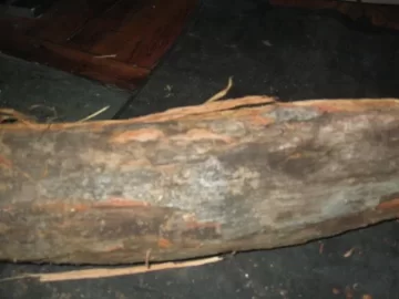 [Hearth.com] Wood ID  (again)