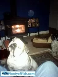 [Hearth.com] New Kitty likes stove......