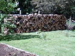 Bought firewood today from a guy who doesn`t heat with wood.