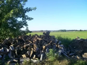 [Hearth.com] Am I addicted to wood?
