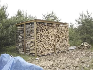 [Hearth.com] Having a hard time judging if this is enough wood??