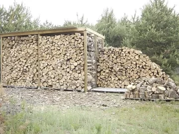 [Hearth.com] Having a hard time judging if this is enough wood??