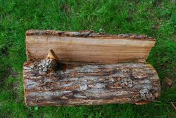 split oak measures around 16% moisture