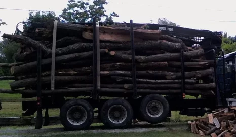 [Hearth.com] Holy crap..the wood bird took a smash on my lawn!