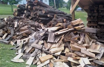 [Hearth.com] Holy crap..the wood bird took a smash on my lawn!