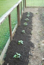 Compost and Organic Gardening