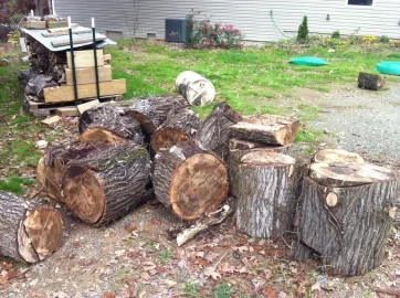 [Hearth.com] Newb needs scrounging advice:  handling BIG pieces of Oak