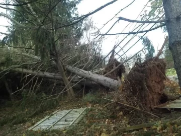 [Hearth.com] Just back after that b%&*h Sandy knocked down some trees