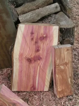 [Hearth.com] Eastern Cedar??