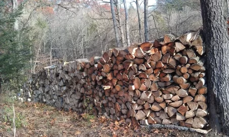 [Hearth.com] Been splitting and stacking wood today