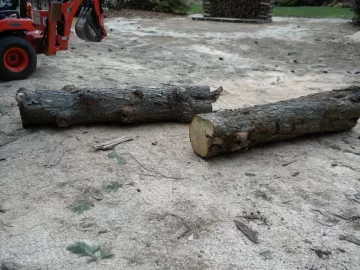 [Hearth.com] Log ID 46, I am going with soft maple on this one.