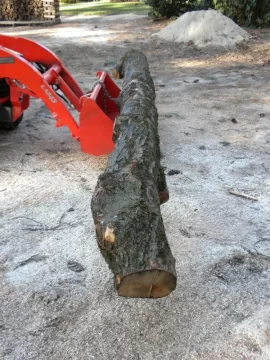 [Hearth.com] Log 47 ID, Hard Maple?
