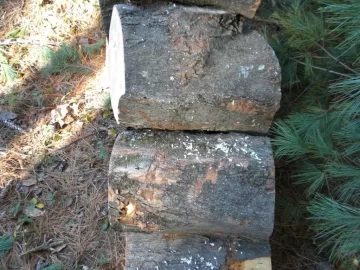 [Hearth.com] Log 47 ID, Hard Maple?