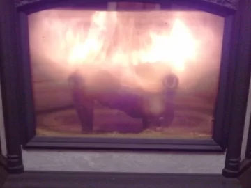 [Hearth.com] Flue Adjustment On Progress Hybrid