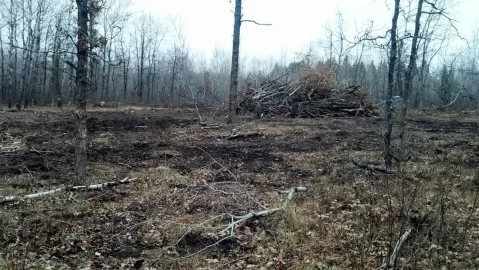 [Hearth.com] Moved my log pile today