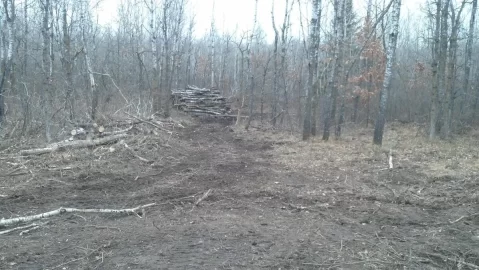[Hearth.com] Moved my log pile today