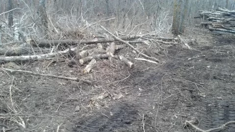 [Hearth.com] Moved my log pile today