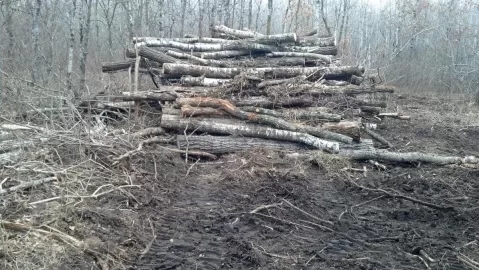 [Hearth.com] Moved my log pile today