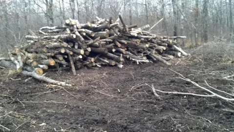 [Hearth.com] Moved my log pile today