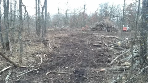 [Hearth.com] Moved my log pile today