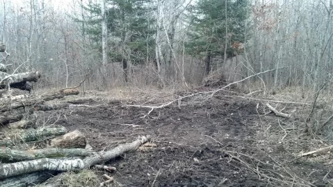 [Hearth.com] Moved my log pile today