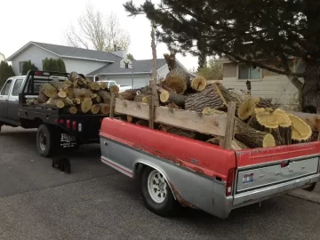 [Hearth.com] More scrounging around and wood storage experimentation!!!