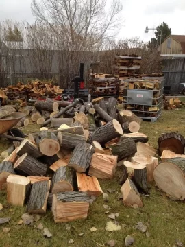 [Hearth.com] More scrounging around and wood storage experimentation!!!