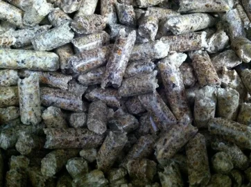 [Hearth.com] Okanagan Black Hills?