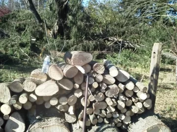 [Hearth.com] Small Pine branches need split?