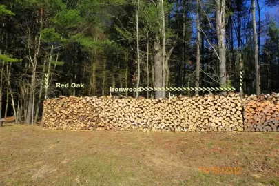 [Hearth.com] American Hophornbeam/Ironwood