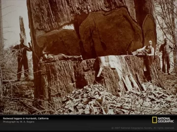 [Hearth.com] General Sherman