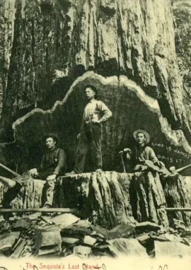 [Hearth.com] General Sherman