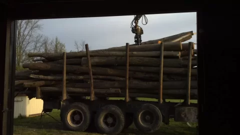[Hearth.com] Evolution of a Wood Stack