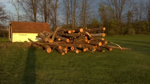 [Hearth.com] Evolution of a Wood Stack