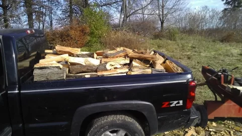 [Hearth.com] Honey Locust