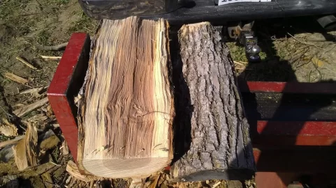 [Hearth.com] Honey Locust