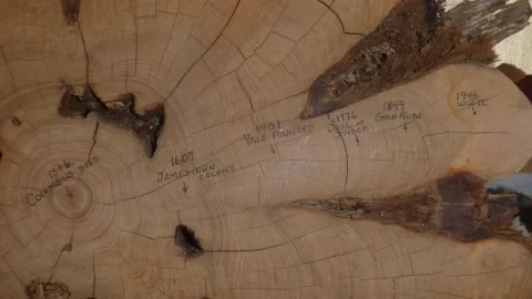 [Hearth.com] historical wood