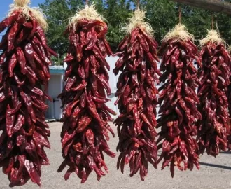 [Hearth.com] Chile Colorado