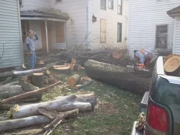 [Hearth.com] New saw and some firewood cutting