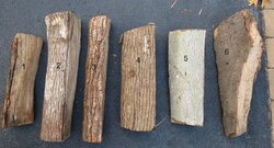 help me ID my wood.