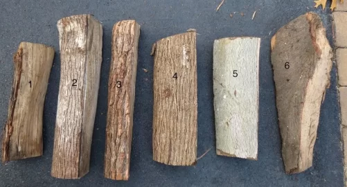 [Hearth.com] help me ID my wood.