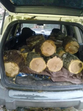 [Hearth.com] SIL woodlot score