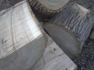 [Hearth.com] Newb needs scrounging advice:  handling BIG pieces of Oak