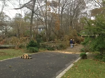 [Hearth.com] Surplus from Sandy