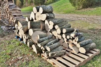 [Hearth.com] A Score At Long Last!!
