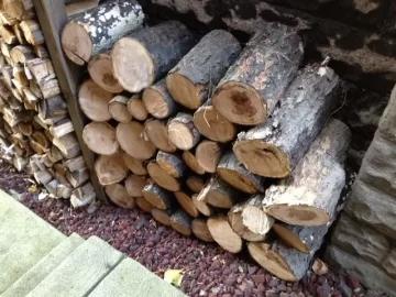 [Hearth.com] Two Firewood Trips